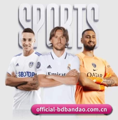 official-bdbandao.com.cn APP 界面